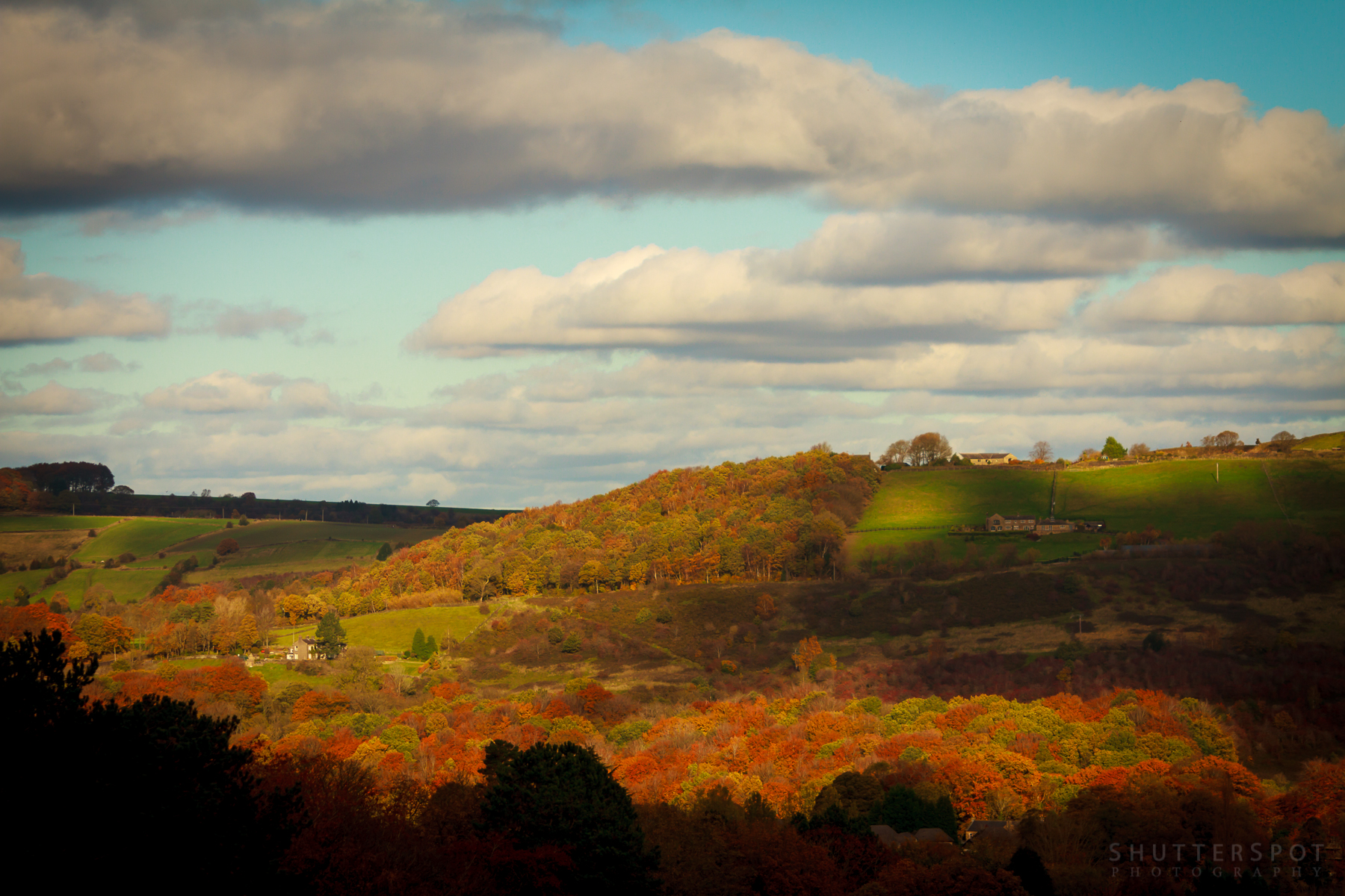 landscapes yarn Archives