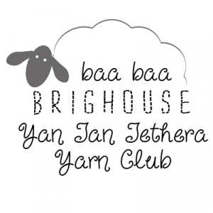 Yan Tan Tethera Monthly Yarn Club