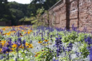 wall_garden