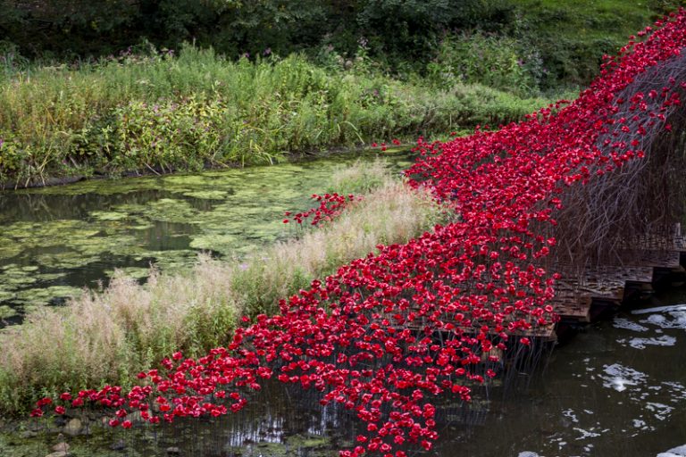 We Will Remember Them