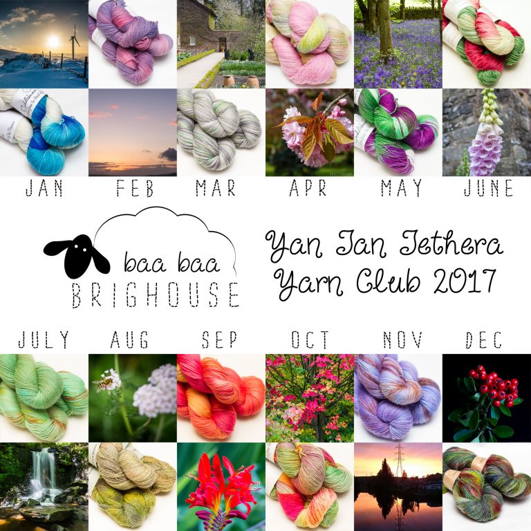 Yan Tan Tethera Yarn Club: A Year In Review